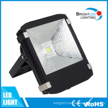 High Power LED Tunnel Light 80W (BL-FL370-01)